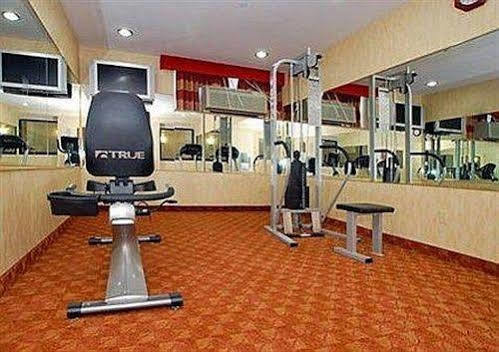 Lex View Inn At Jfk Airport New York Faciliteter billede